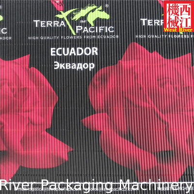 2Ply 3Ply 4Ply 5Ply Complete Corrugators Equipment For Cardboard Carton Box Making Multi Function Line