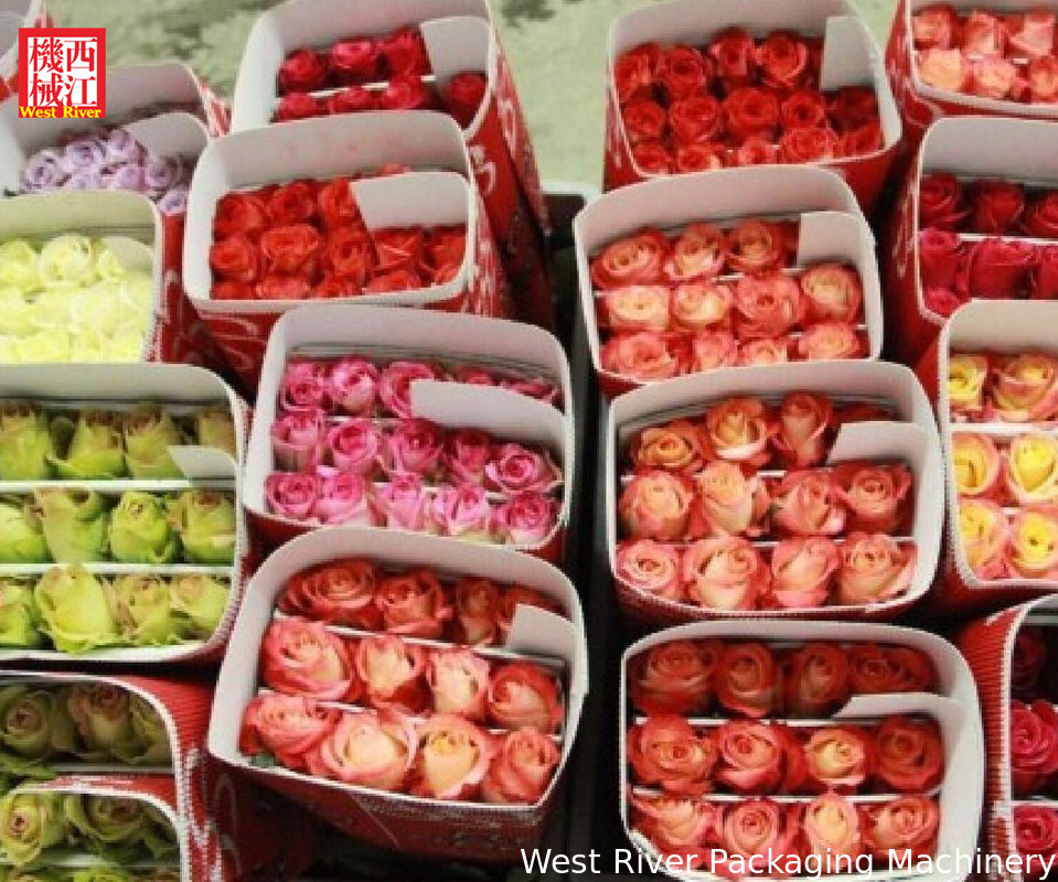 Фуд сити фантазия цветы. Голландский цветочный аукцион. Цветомания. Оптовый склад цветов. Оптовый склад цветов.